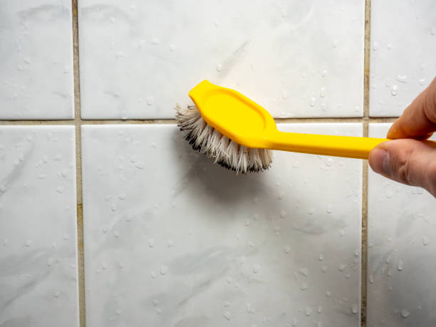 Best Water Damage Restoration  in Center, CO