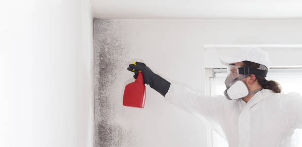 Best Mold Cleaning Services  in Center, CO