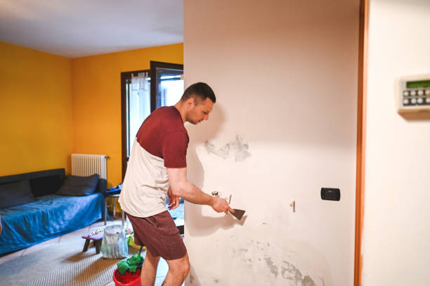 Best Mold Remediation  in Center, CO