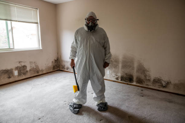 Best Affordable Mold Removal  in Center, CO