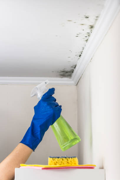 Best Mold Testing  in Center, CO