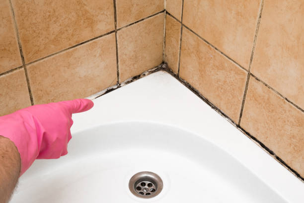 Best Emergency Mold Removal  in Center, CO